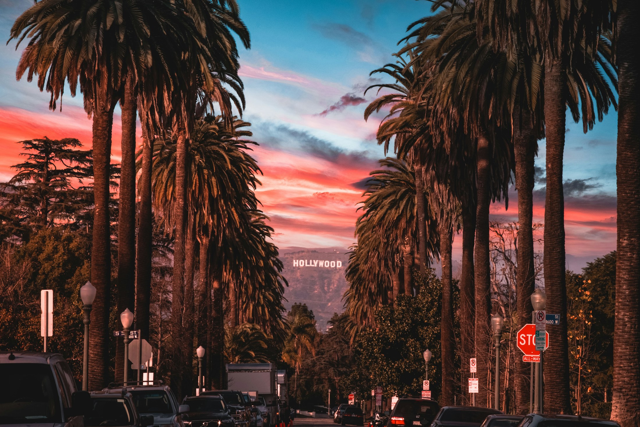 Palmiers de Los Angeles au coucher du soleil