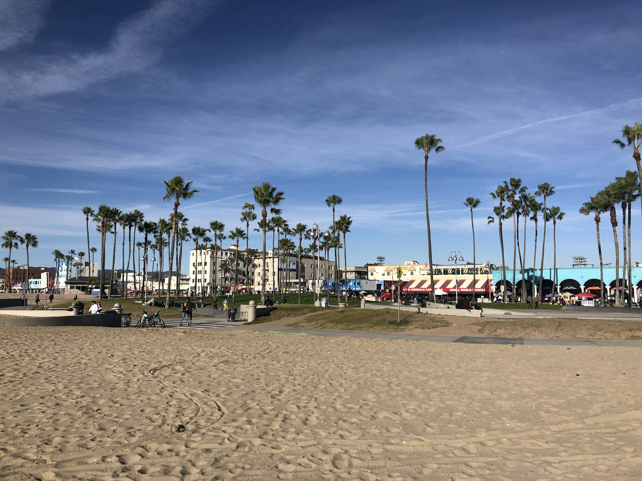 Venice Beach et ses palmiers